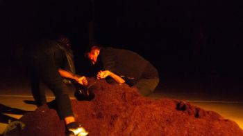 “Cyclic”; 2018; performance in collaboration with Cassils and Ron Athey Arshia Fatima Haq