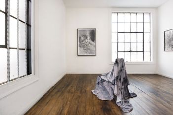 Installation view of Absence without Leave at Commonwealth and Council Los Angeles; 2017; inkjet print, digital print on blanket, polymer; dimensions vary Kang Seung Lee