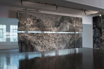 Installation view of Untitled (Aftermath) at Artpace San Antonio; 2017; jacquard tapestry, diptych; 54 in. x 240 in. each Kang Seung Lee