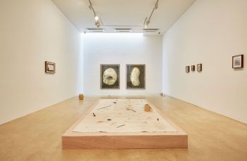 Installation view of Garden at One and J. Gallery; Seoul; 2018; dimensions vary Kang Seung Lee