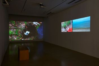 Installation view of Garden; 2018; 3 Channel color video installation (Seoul, 10’ 46”, Dungeness, 7’ 45”, 7’ 45”); dimensions vary Kang Seung Lee