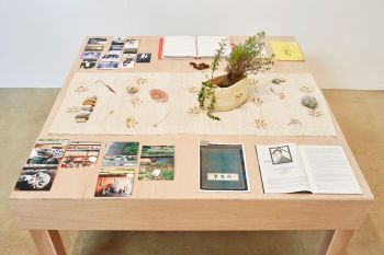 Untitled (Table); 2018; books & photos (collection of Chingusai), Buddy Issue 8 (collection of Chae-yoon Han), scrap metal, pressed flowers & pebbles from Prospect Cottage, Joon-soo Oh’s scrapbook (collection of Geun-jun Lim), gold thread embroidery on Sambe, ring (collection of Hyung-jun Choi), photos from Prospect Cottage and various places in Seoul, ceramic (California clay, soils from Derek Jarman’s Garden, Nam San, Tapgol Park), plant collecting & arrangement by Yuhur; approx. 59 in. x 59 in. x 30 in. Kang Seung Lee
