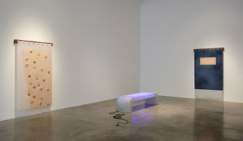 Installation view of The Courtyard; 2017; Kayne Griffin Corcoran; Los Angeles, CA Rosha Yaghmai