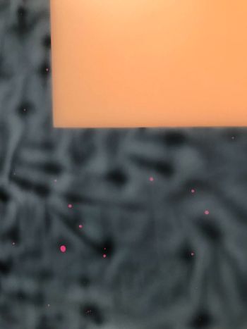 Detail: Imitation Crab; 2017; silicone, pigment, cotton, ink, bricks, steel; 85 in. x 47.5 in. x 3.5 in. Rosha Yaghmai