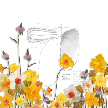 Nao Bustamante, BLOOM 2 Nao Bustamante