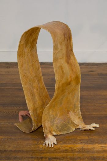 Young Joon Kwak, Hermaphroditus Reveal Young Joon Kwak