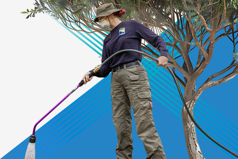 Creating Safe, Resilient, and Connected Communities